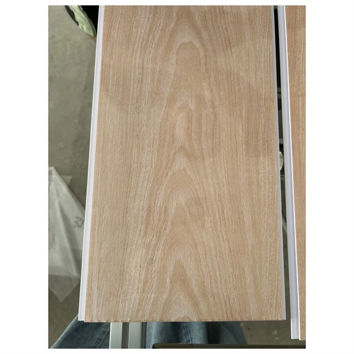 PVC   lubos   skydas   techo   PVC