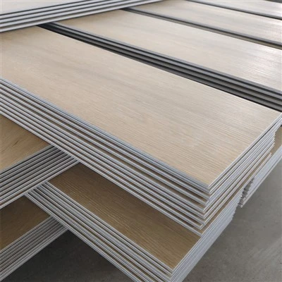 6,5 mm vinilo lentos grindys