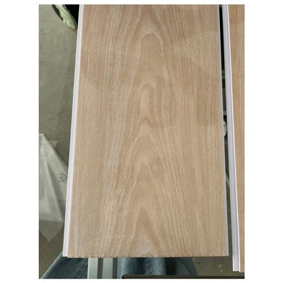 PVC lubos skydas techo PVC