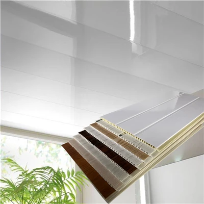 PVC sienų lubų skydelis
